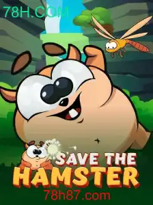SavetheHamster: Um Novo Desafio Divertido e Viciante